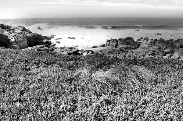 Sea, foam and rocks — Stock Photo, Image