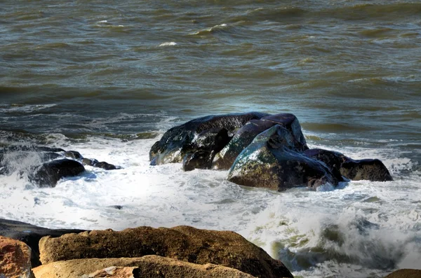 De grosses vagues s'écrasent contre les rochers côtiers — Photo