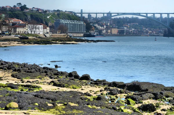 Rivier douro en de stad porto — Stockfoto