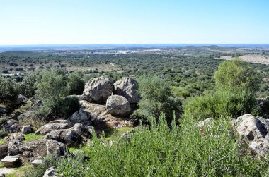 Alentejo kayalar ve ağaçlarla kaplı.