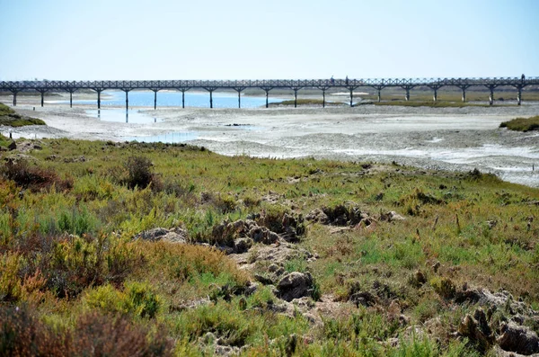 Pasarelas Madera Sobre Ría Formosa — Foto de Stock