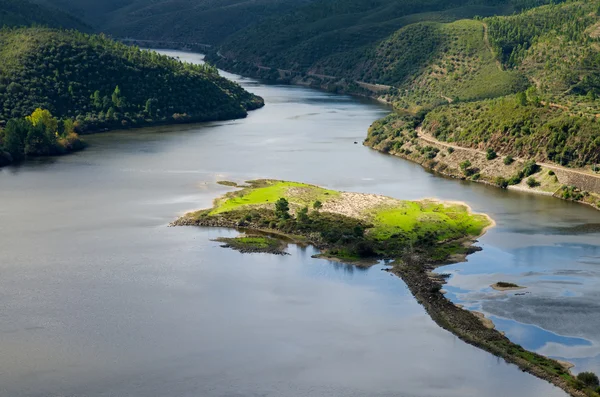 Insel im Fluss tagus bei portas de rodao — Stockfoto