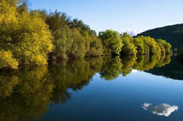 Riverbank drzewa linii i odbicie rzeka — Zdjęcie stockowe