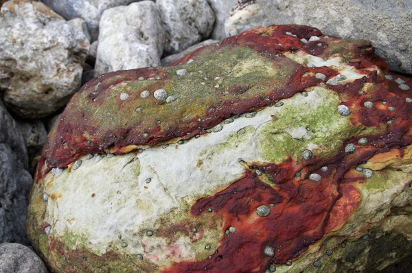 Iron-rich ferrous boulder — Stock Photo, Image