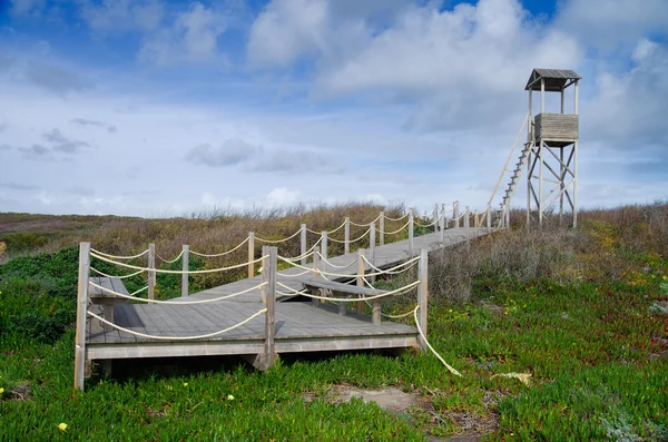 Torre di osservazione — Foto Stock