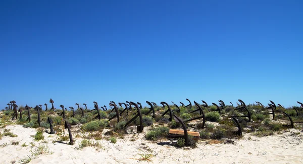 Kotwica krajobraz cmentarz przeciw błękitne niebo — Zdjęcie stockowe