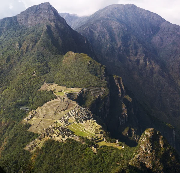 Makrill Picchu Stockbild