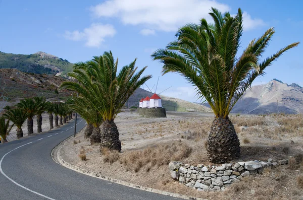 Rüzgar değirmenleri ve palmiye ağaçları — Stok fotoğraf