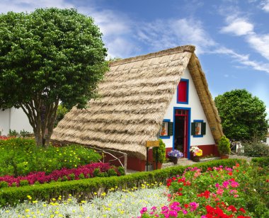 tipik souvernir çiçek Dükkanı house, madeira