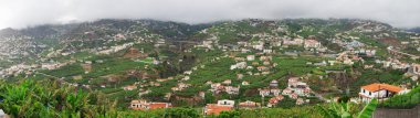 Camara de Lobos, Madeira