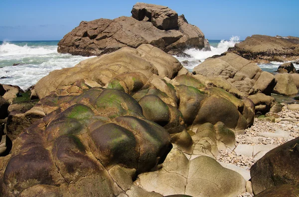 Erozji skały pokryte z seamoss — Zdjęcie stockowe