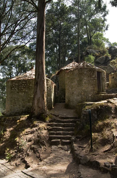 Castro de Sao Lourenco, Esposende, Portugal — Stockfoto