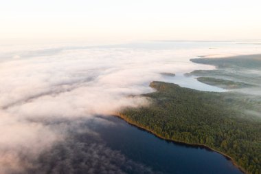 Su yüzeyinde sis ve ormanın üzerinde gün doğumuyla birlikte havadan izlenen göl. Suyun ve yeşil ormanın üzerindeki sisli muhteşem deniz manzarası.. 