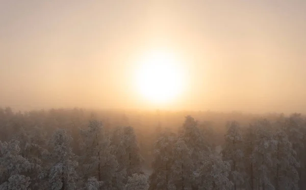Luminosa Alba Sulla Foresta Invernale Con Nebbia Panorama Vista Aerea — Foto Stock