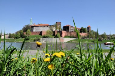 cracow Wawel kalede summertime yılında