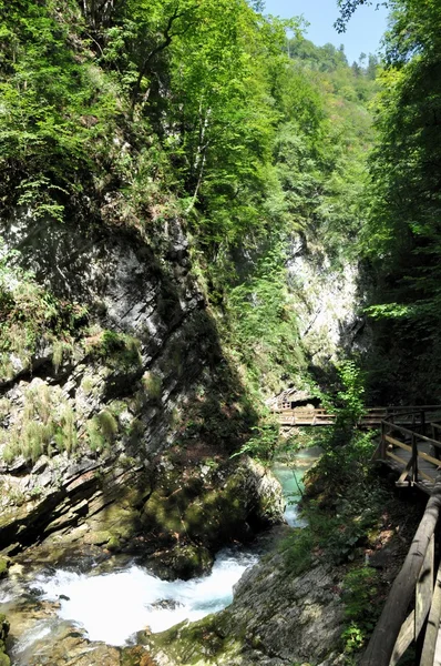 Vintgar Gorge perto de Bled, Eslovénia — Fotografia de Stock