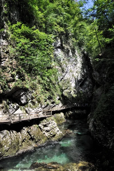 Vintgar Gorge w pobliżu Bled, Słowenia — Zdjęcie stockowe
