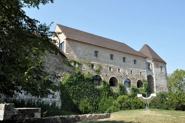 Ljubljana-kasteel — Stockfoto