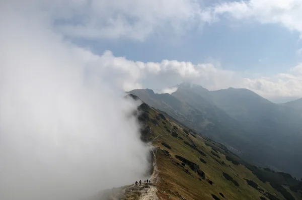 Montagne nella nebbia giorno — Foto Stock