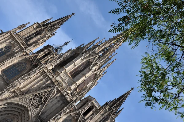 Cattedrale di Barcellona, Spagna — Foto Stock