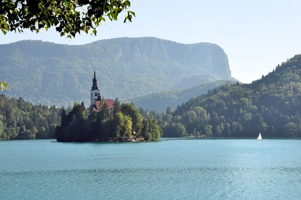 Ada ve kale, sabahın erken saatlerinde bled — Stok fotoğraf