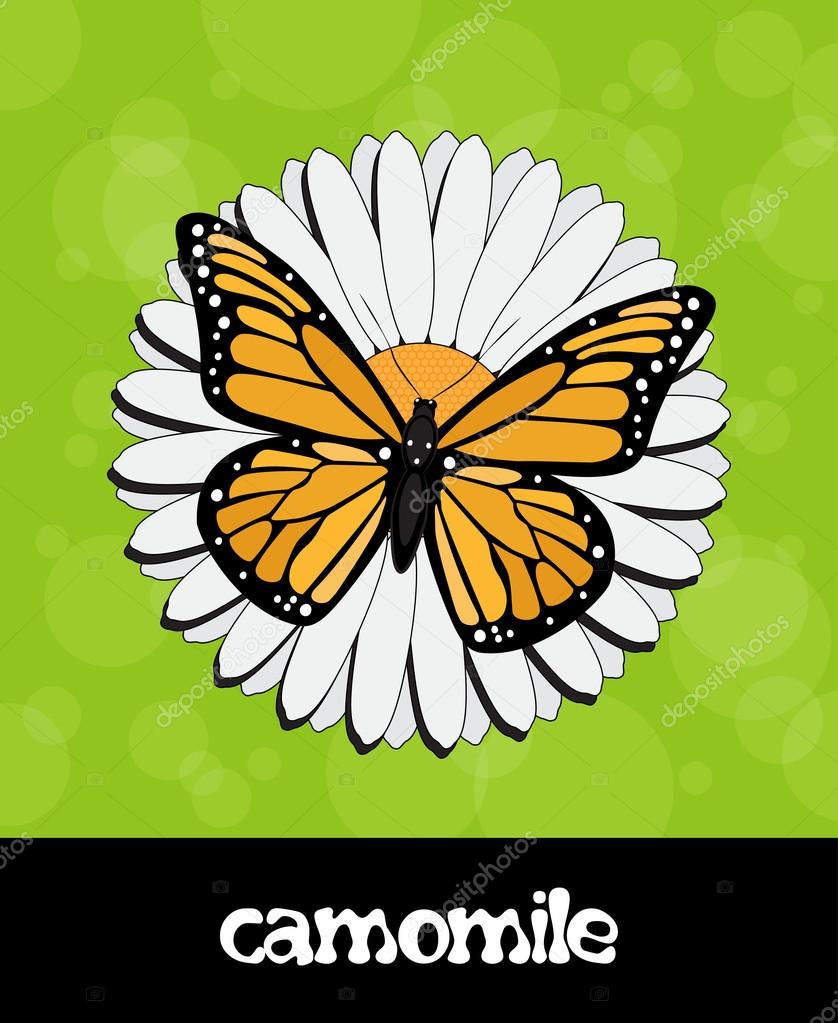  summer background with flower and butterfly