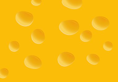 Yellow delicious cheese with holes