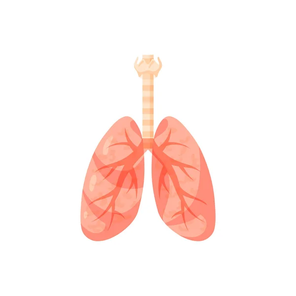 Conceito de anatomia pulmonar em estilo cartoon, vetor — Vetor de Stock