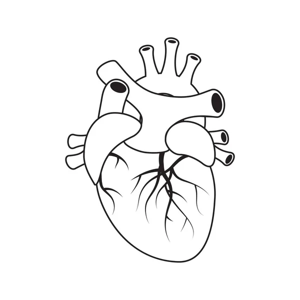 Corazón concepto médico en estilo plano, vector Ilustraciones de stock libres de derechos