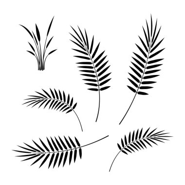 Areca palmiye yaprakları düz stil, vektör