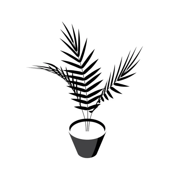 Iconos isométricos de palma de Areca en estilo plano, vector — Vector de stock