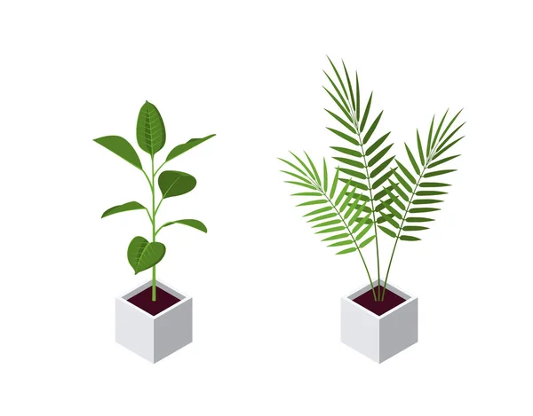 Ισομετρική γλάστρα φυτά εικονίδια σε επίπεδη στυλ, διάνυσμα — Διανυσματικό Αρχείο
