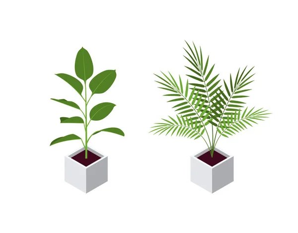 Iconos de plantas de maceta isométricas en estilo plano, vector — Vector de stock