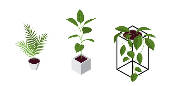 Iconos de plantas de maceta isométricas en estilo plano, vector — Archivo Imágenes Vectoriales