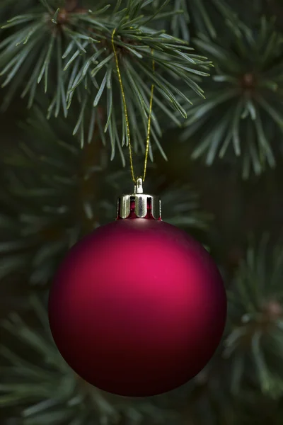 Verkligt ädelt fir med hängande röda ornament — Stockfoto