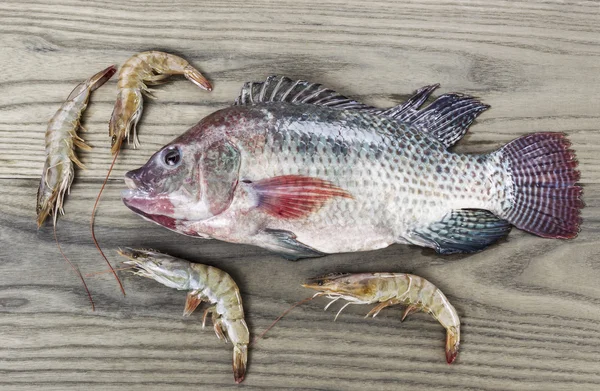 건강 한 Tilapia 물고기와 새우 — 스톡 사진