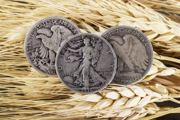 Silver Half Dollars on Wheat Stalk — Stock Photo, Image