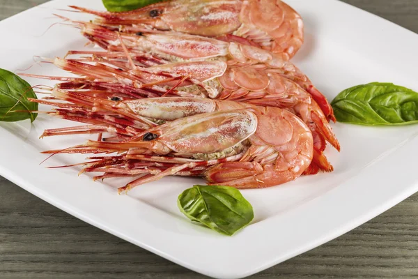 Camarones recién cocidos en plato blanco — Foto de Stock