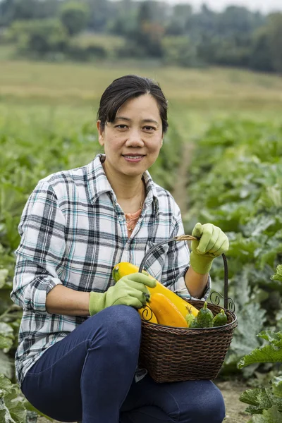 Mujeres maduras con calabacín en la cesta — Foto de Stock