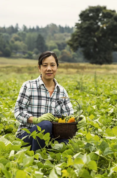 Reife Frauen mit grünen Bohnen im Korb — Stockfoto