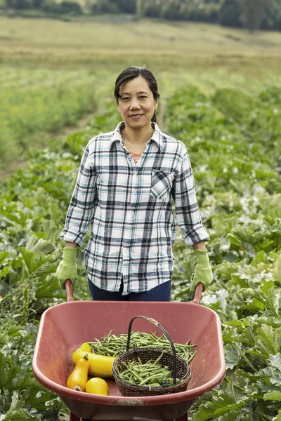 Mature women with Wheelbarrow of Vegetables