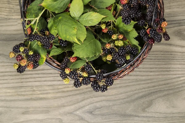 Korb mit saisonalen Beeren — Stockfoto