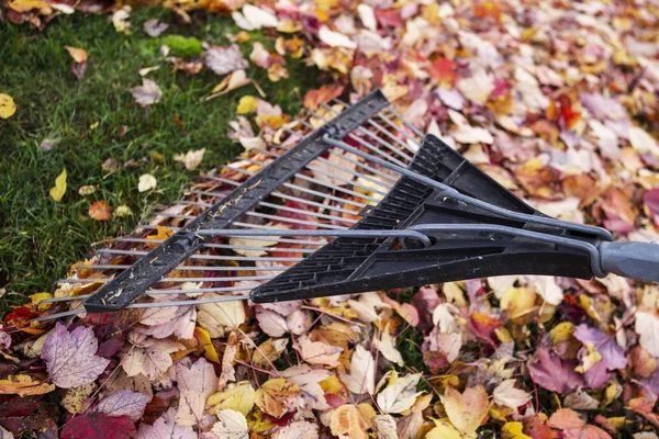 Herfst opruimen — Stockfoto