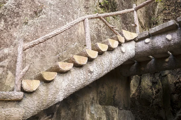 Sarı dağ hazırlanmış merdiven — Stok fotoğraf