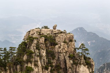 Sarı dağlarda taş heykel doğal monkey