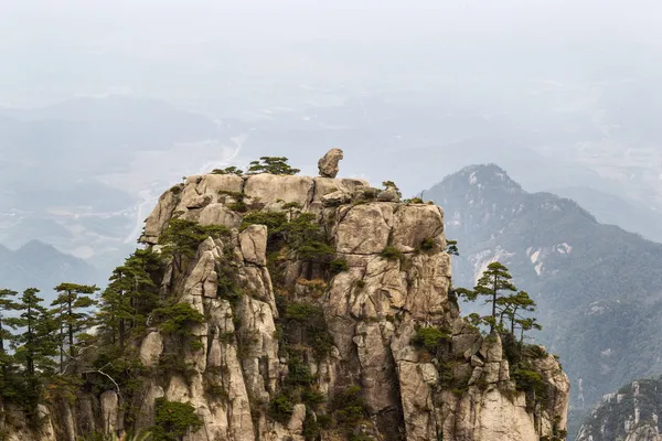 自然猴子石头雕像在黄色山 — 图库照片