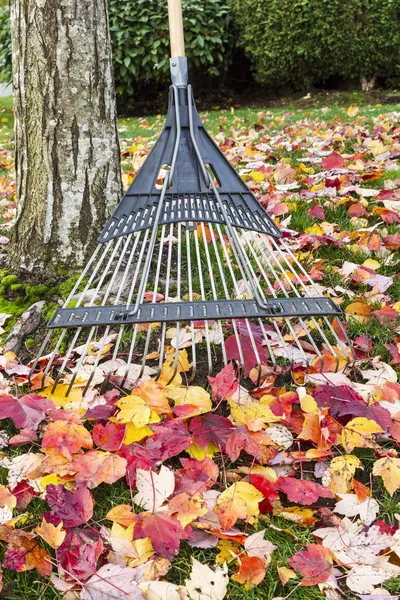 Podzim uklidit čas — Stock fotografie