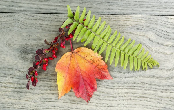 Autumn Pleasures — Stock Photo, Image