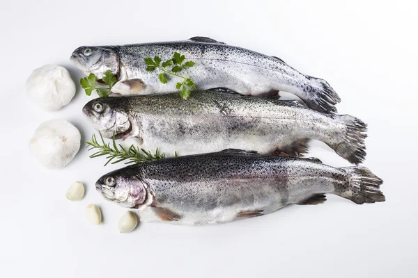 Voorbereiden van fish voor een maaltijd — Stockfoto