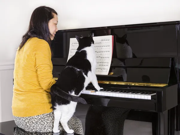 Mujer madura tocando el piano con su familia Cat — Foto de Stock